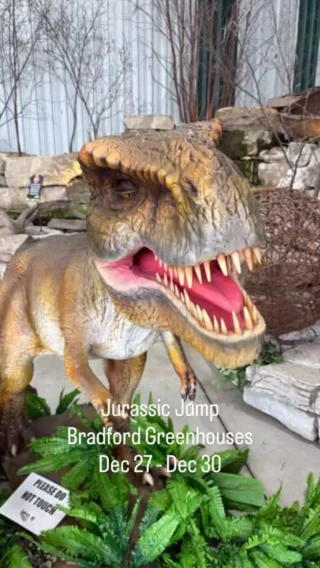 Instagram post from blingfacepainting. This post is in position 5.